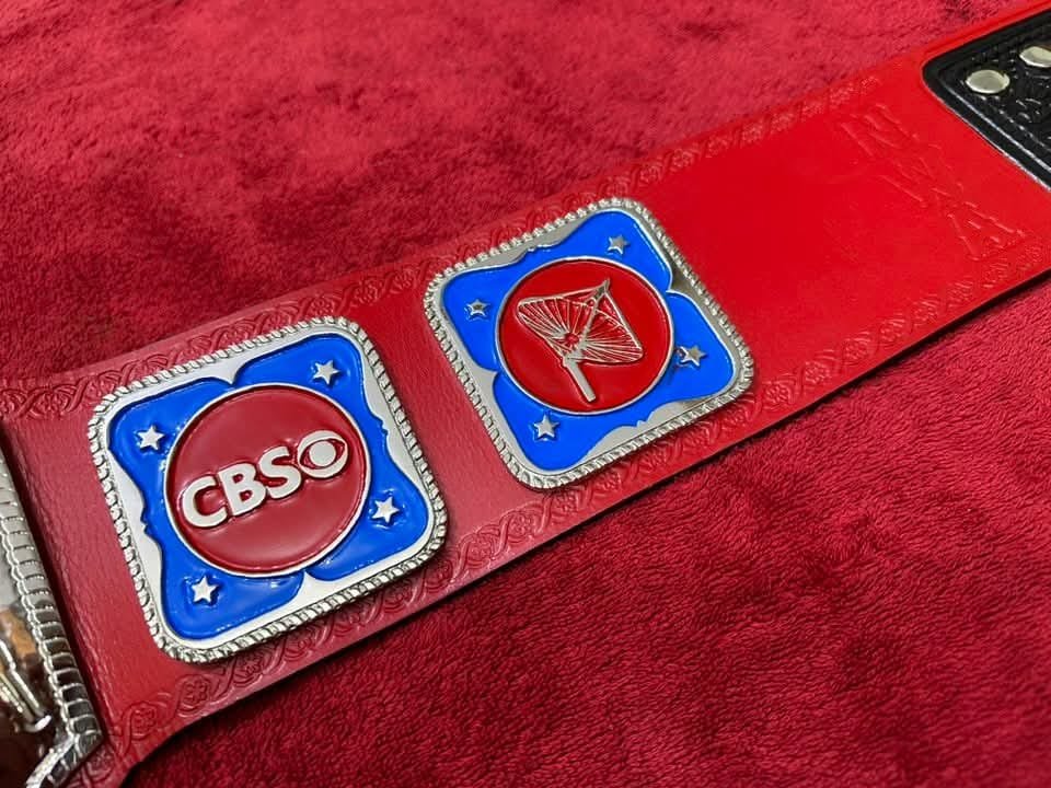bb_6 NWA TELEVISION HEAVY WEIGHT CHAMPIONSHIP REPLICA BELT 4MM ZINC RED ADULT SIZE TITLE - Image 6