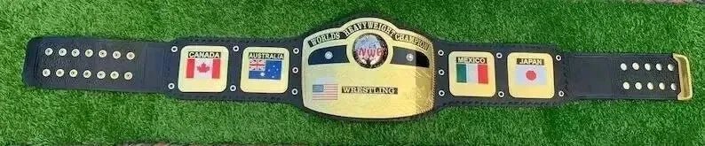 s-l960_29 NWA Domed Globe World Heavyweight Wrestling Championship Replica Title Belt 2mm Brass - Image 2